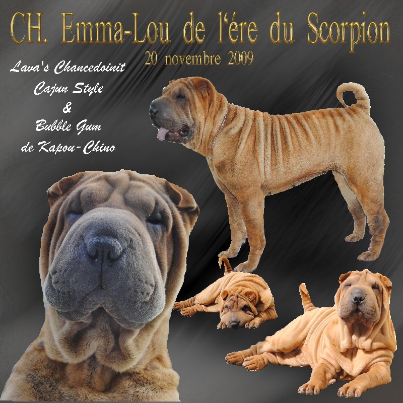 CH. Emma-lou de l'ère du scorpion