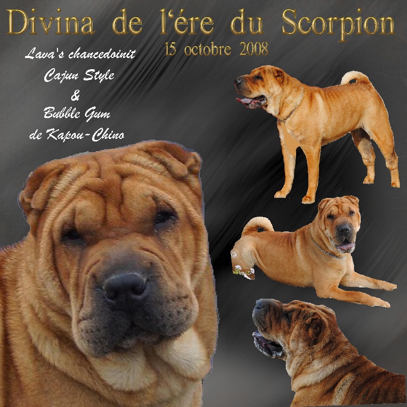 Divina de l'ère du scorpion