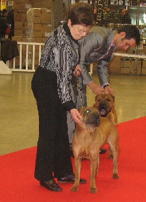 de l'ère du scorpion - Paris Dog Show samedi 8 janvier 2010