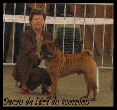 de l'ère du scorpion - Decan a la nationnale d élevage 2009