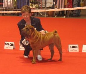 de l'ère du scorpion - Pontoise 09
