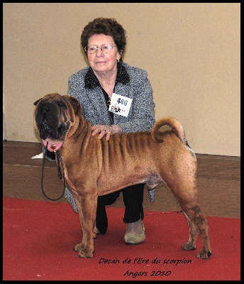 de l'ère du scorpion - Angers 2010 Decan