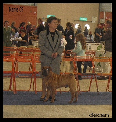 de l'ère du scorpion - Nante09 le dimanche